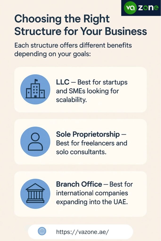 Main Legal Entity Options in IFZA infographics